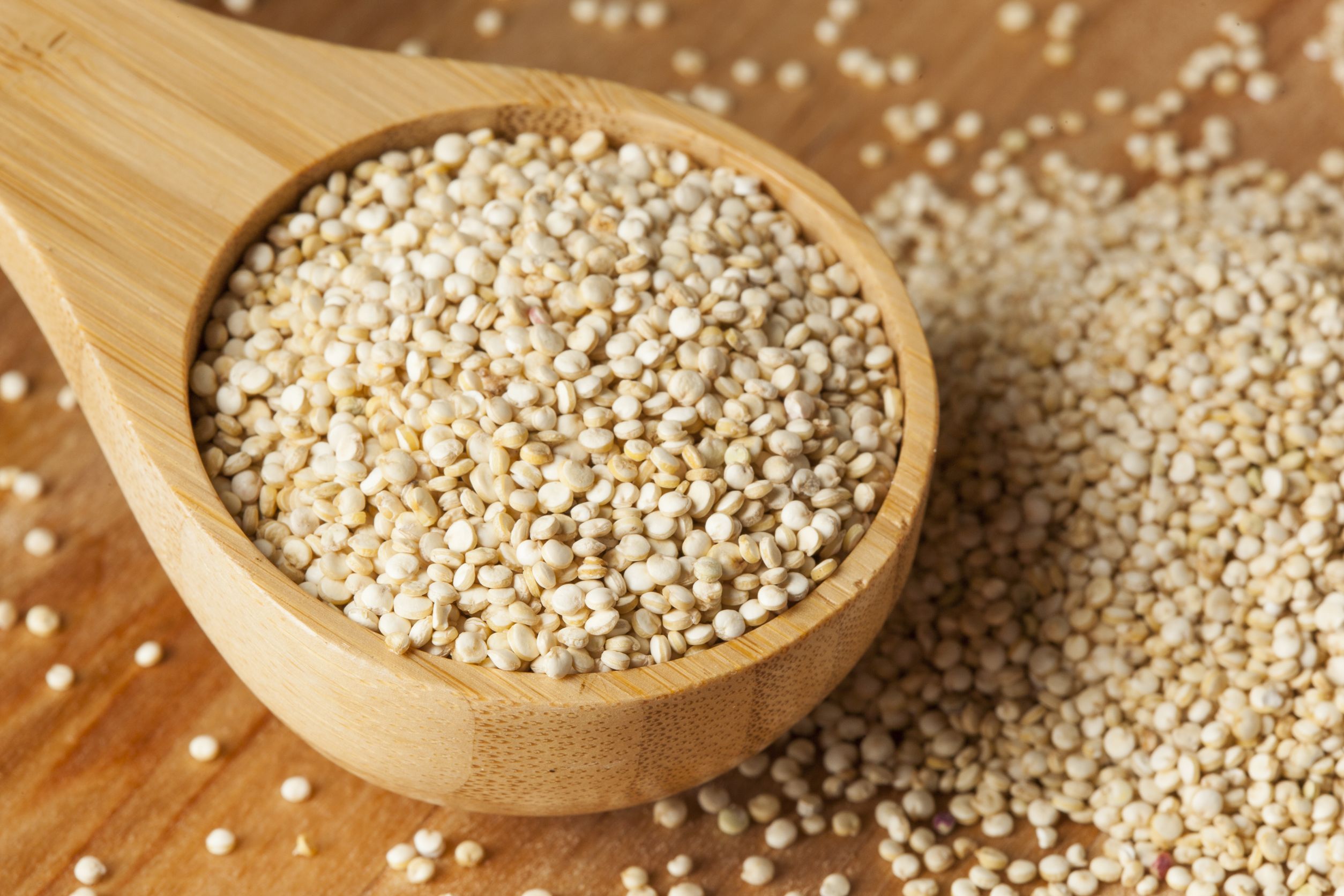 Answers to Your Questions about Quinoa - SlendHer