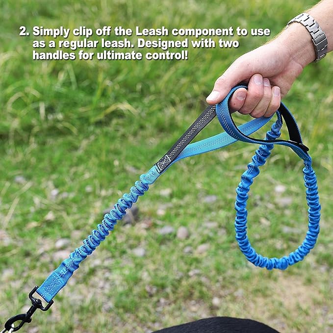 Waggin Tails Hands-Free Bungee Dog Leash,