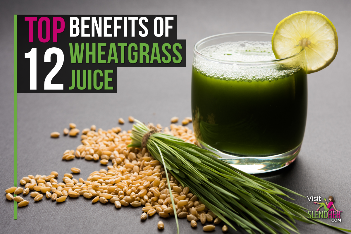 Top 12 Benefits Of Wheatgrass Juice Slendher 0698