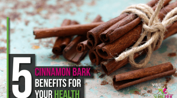 Cinnamon Bark