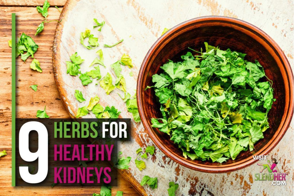 9 Herbs for Healthy Kidneys